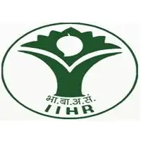 IIHR Recruitment