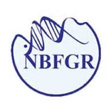 NBFGR Recruitment