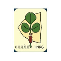 IINRG logo