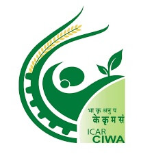 CIWA Logo