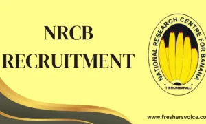 NRCB Recruitment 2024: Apply for JRF/Junior Project Assistant/Young Professional