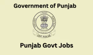 Punjab Govt Jobs 2024: Latest Government Job Vacancies in Punjab