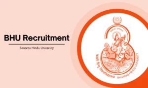 BHU Recruitment 2024 – Project Fellow/Data Entry