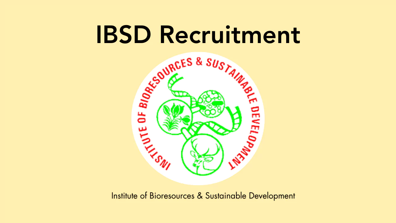 IBSD Recruitment