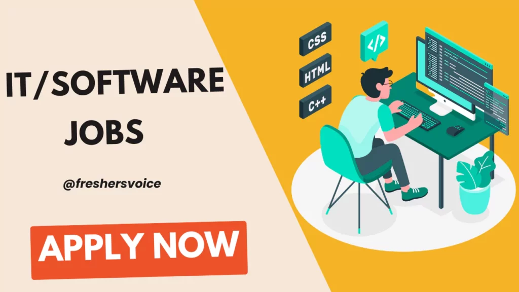 IT-Software Jobs