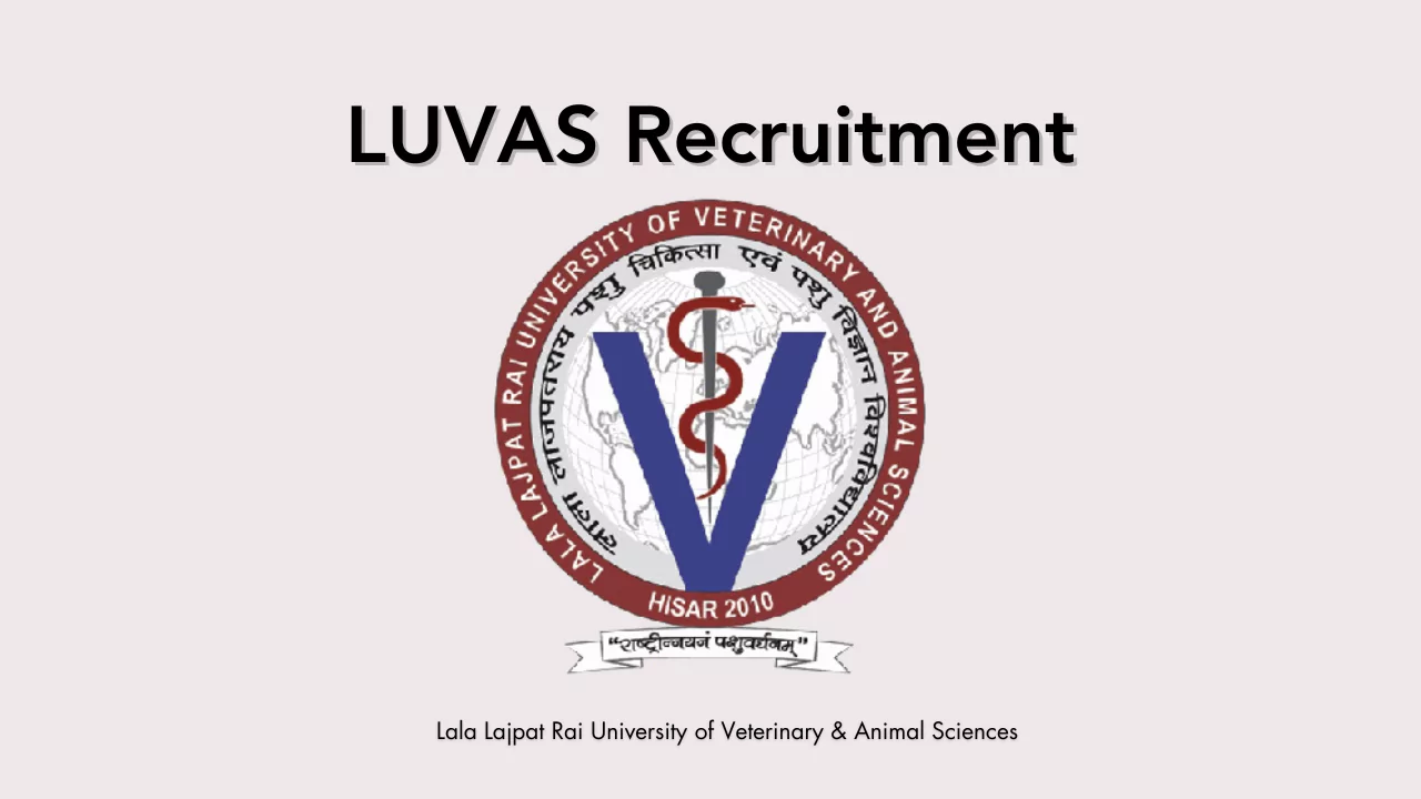 LUVAS Recruitment