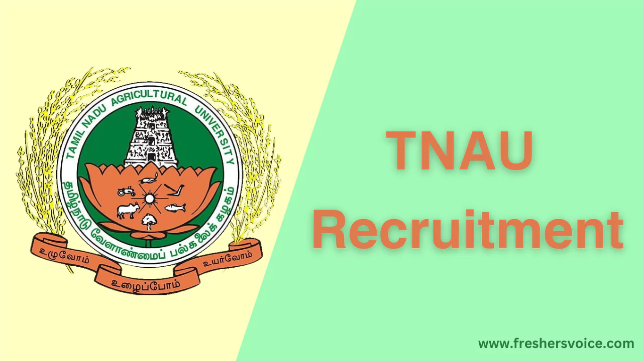 TNAU Recruitment,tnau job opportunities, tnau jobs, tnau careers