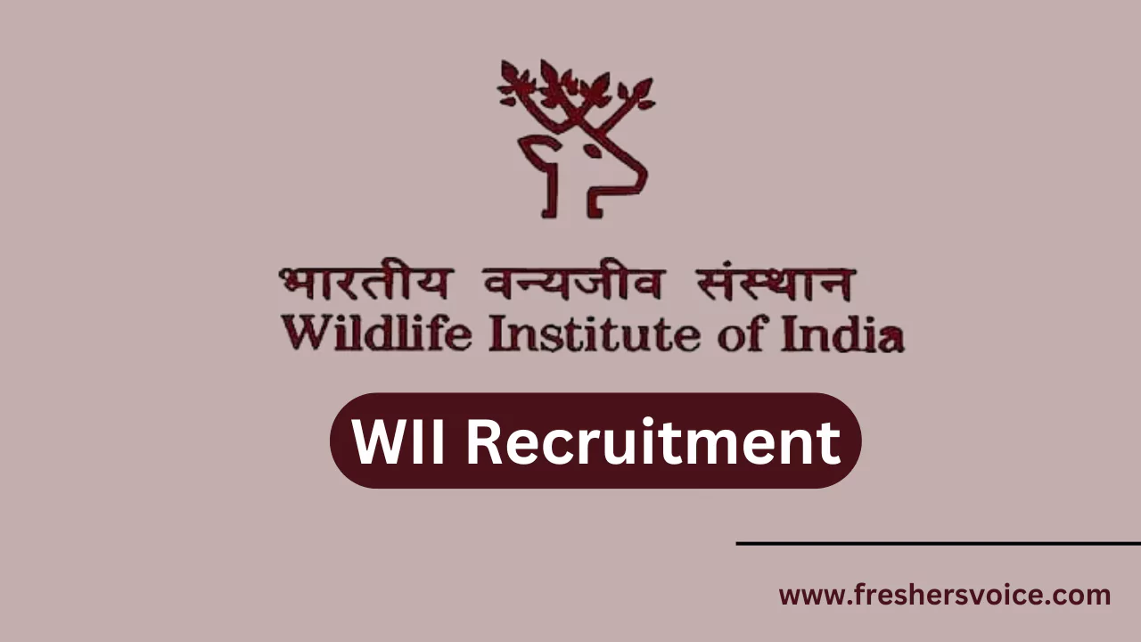 WII Recruitment 2024 Senior Project Associate/Project Associate I