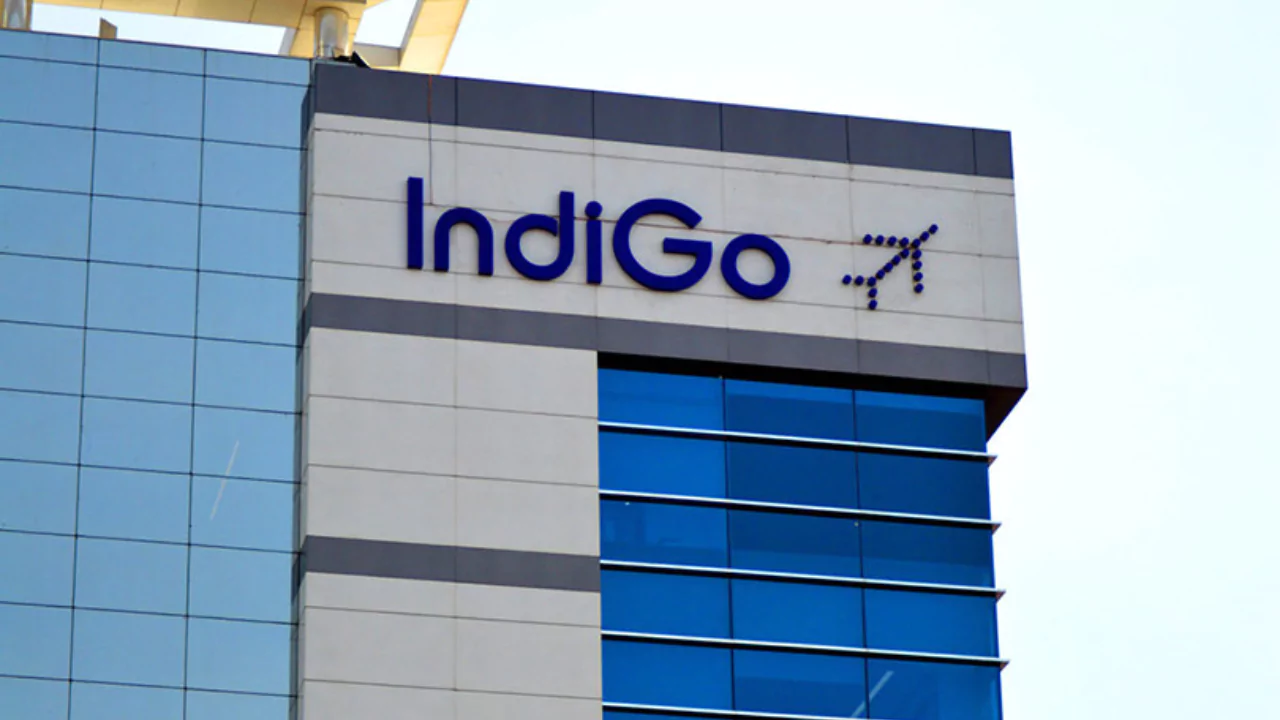 indigo Recruitment