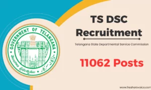 TS DSC Recruitment 2024: 11062 Vacancies