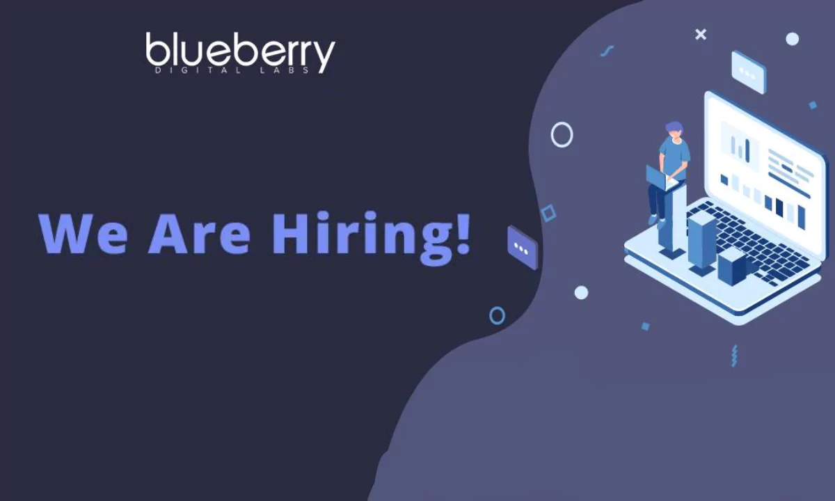 Blueberry Digital Labs Internship