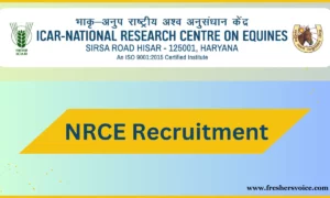 NRCE Recruitment 2024: Apply for Young Professional-II