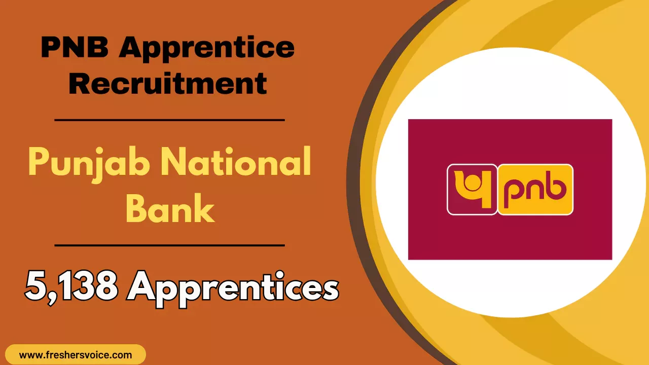 PNB Apprentice Recruitment