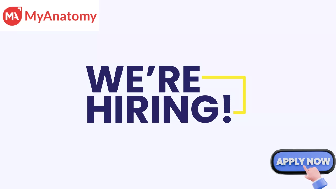 Myanatomy Internship