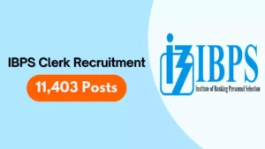 IBPS Clerk Recruitment